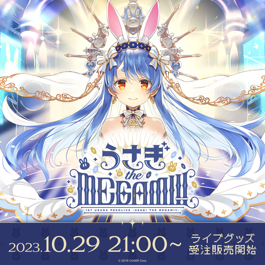 【新品未使用】1st兎田ぺこらいぶ 応援セット 1st兎田ぺこらいぶ「うさぎ the MEGAMI!!」ライブグッズ 受注