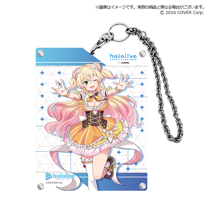 Bushiroad Acrylic Card Holder Collection Extra