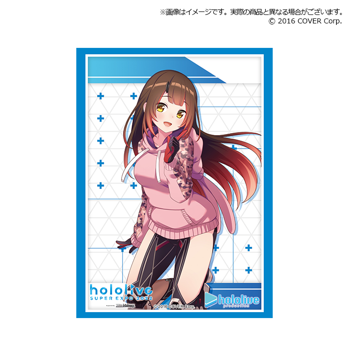 Bushiroad Sleeve Collection Extra