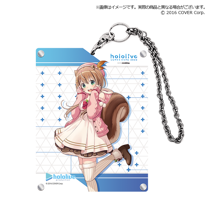 Bushiroad Acrylic Card Holder Collection Extra