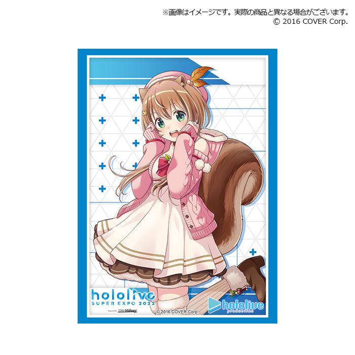 Bushiroad Sleeve Collection Extra