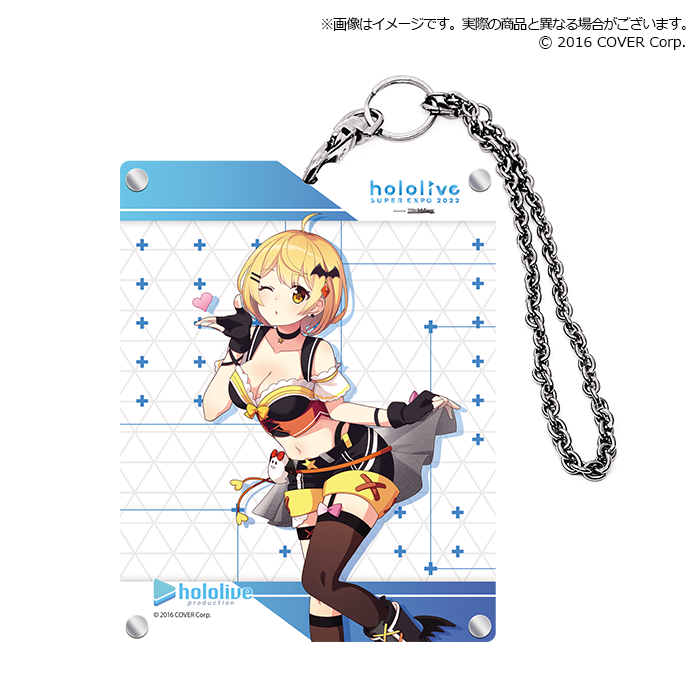 Bushiroad Acrylic Card Holder Collection Extra